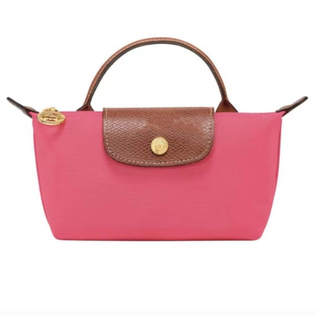 Mini French Longchamp Dumpling Bag - Handheld & Shoulder